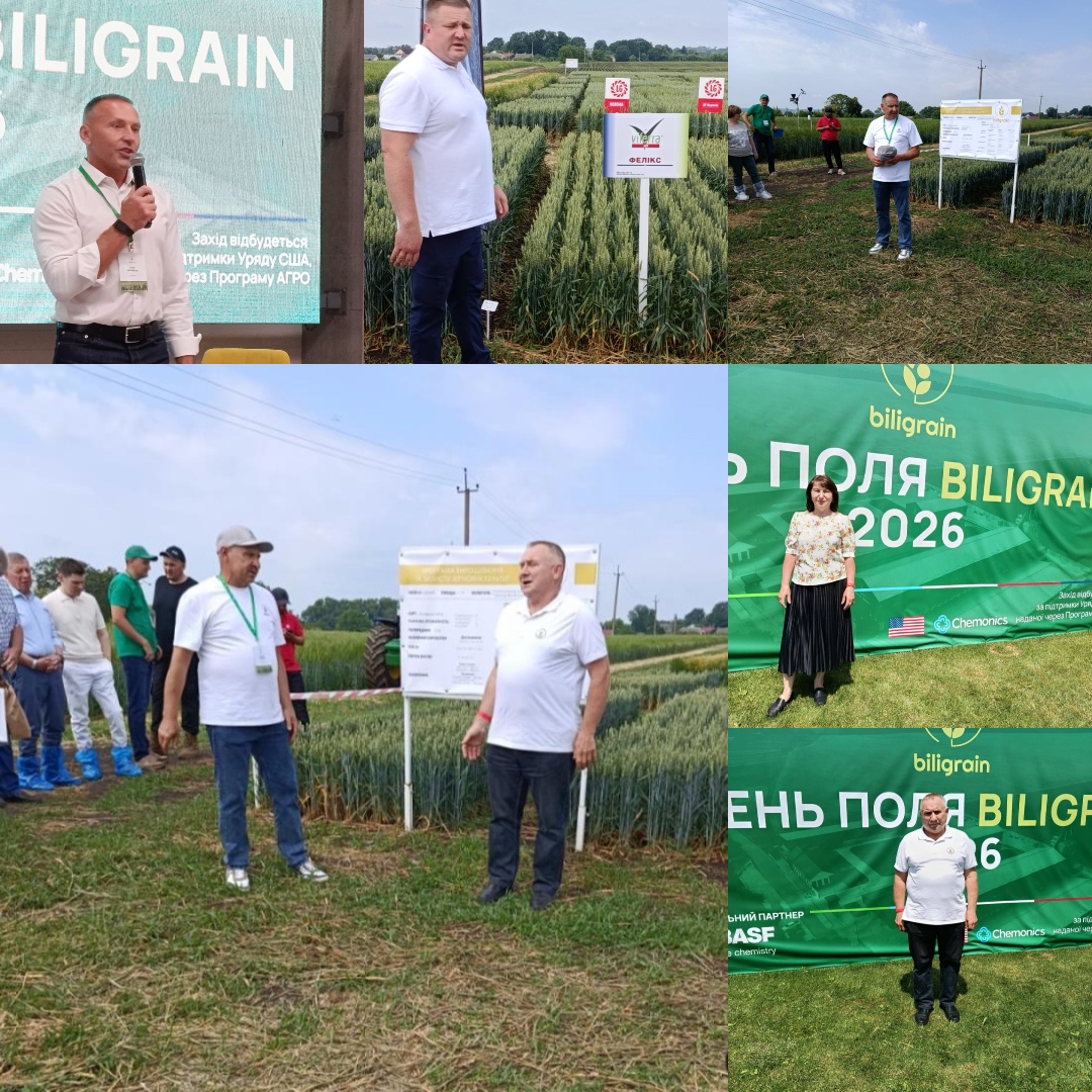 День поля Biligrain на базі ТОВ «Агрокрай»